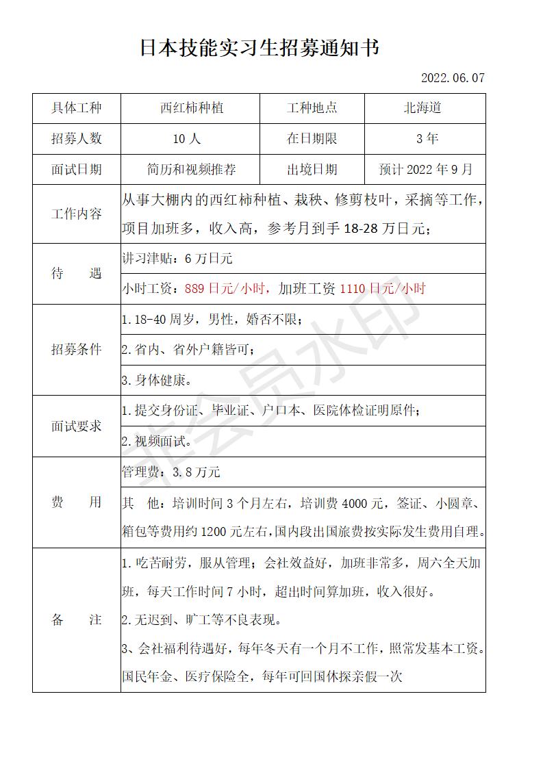 北海道西紅柿種植22.06(1)_01.jpg 北海道西紅柿種植22.06(1)_01.jpg